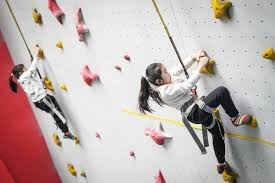 皮特·阿隆索全垒打效率分析